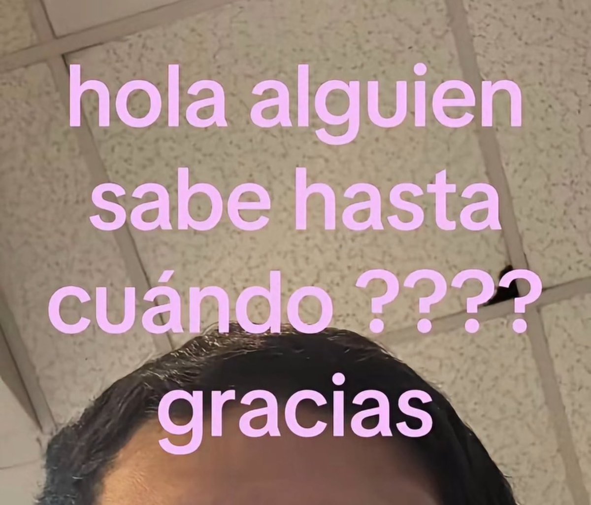 piña sin pizza tweet media