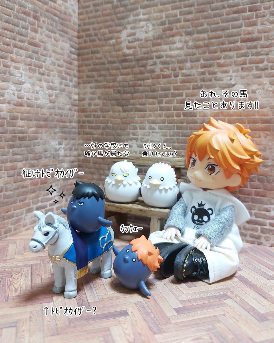 別に羨ましくなどない🦅