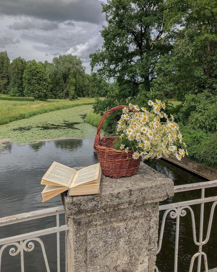 𝑝𝑢𝑟𝑒 tweet media