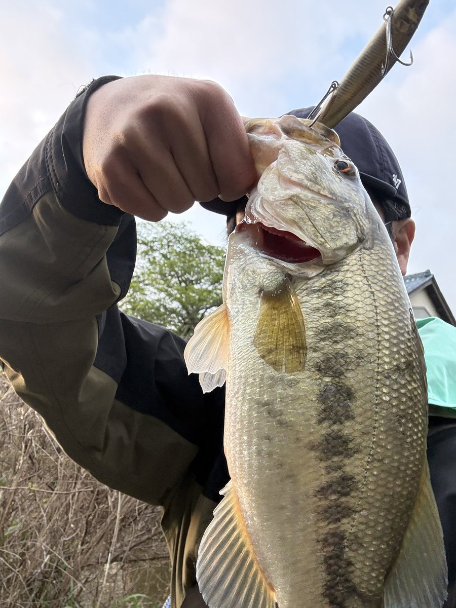 野良tacos↓↑🐸🐭 tweet media