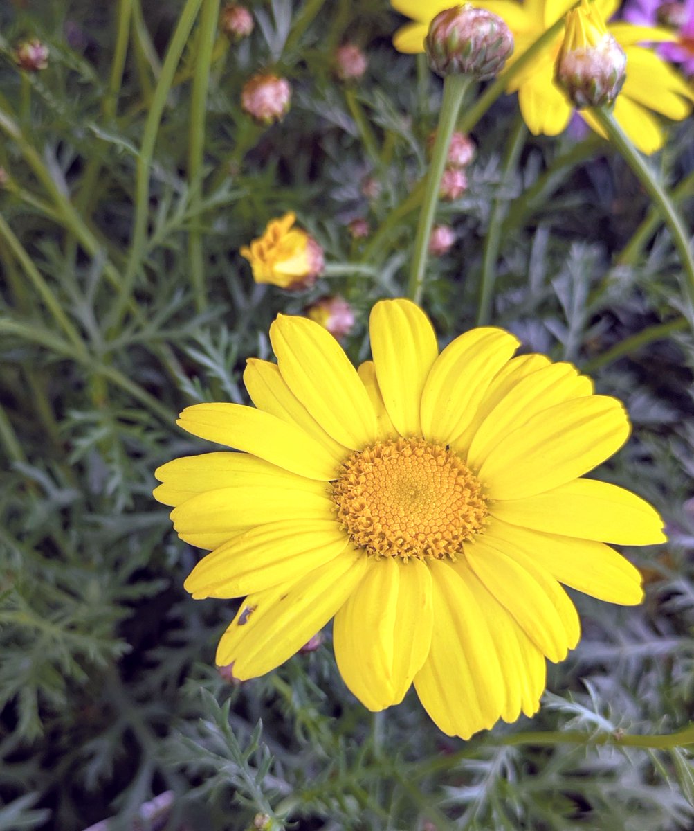 きよちゃん🐯 tweet media