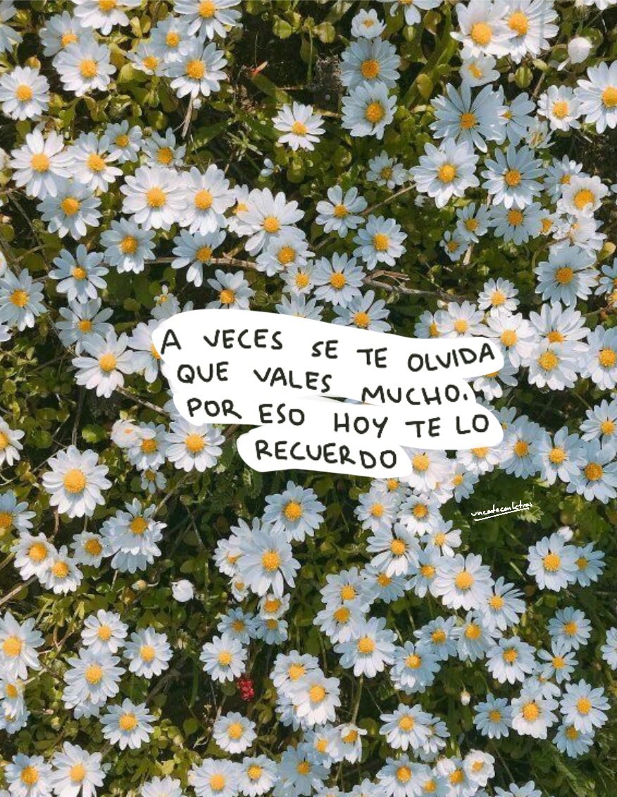 uncafeconletras's tweet photo. https://t.co/IQzJKIGO6f