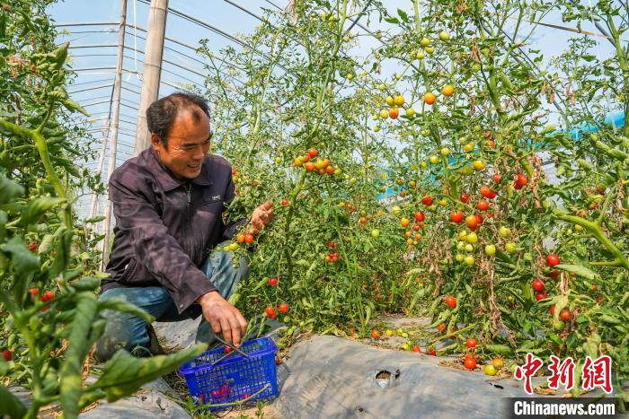 3kFactory tweet media