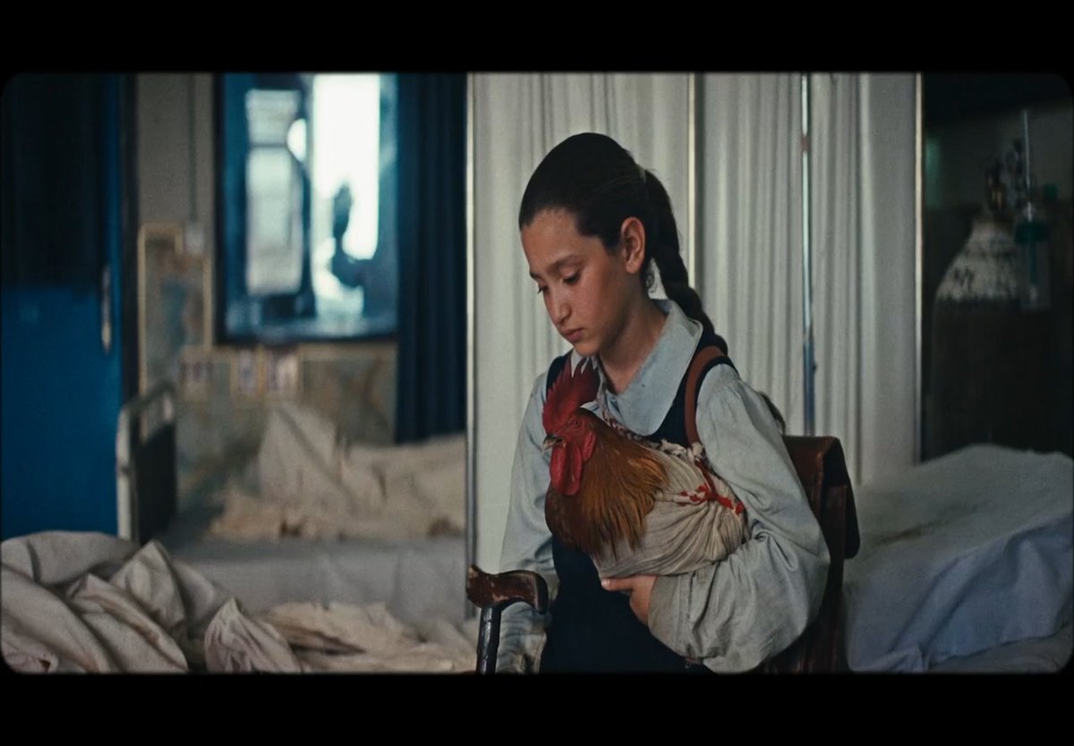 Supernova❄️ tweet media