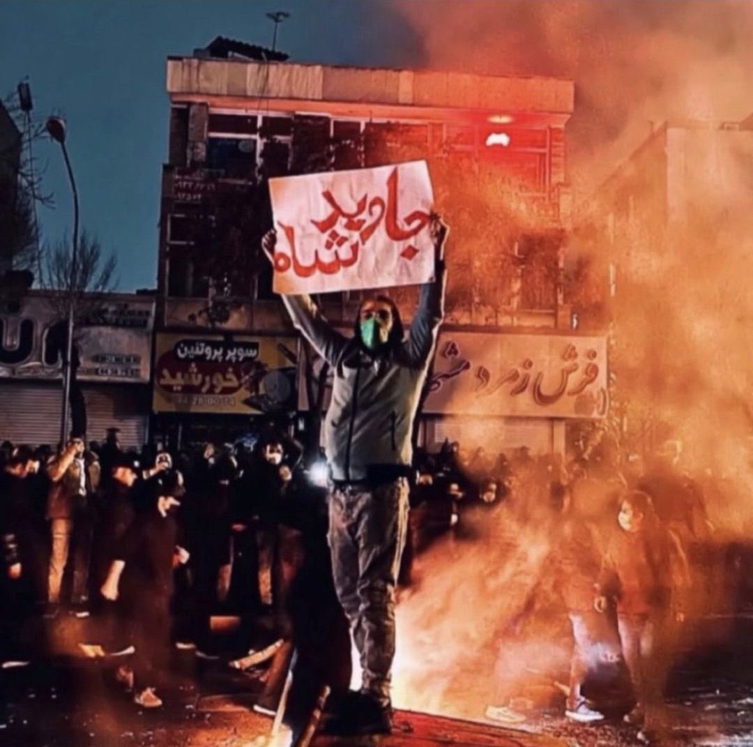 🦩فلامینگو tweet media