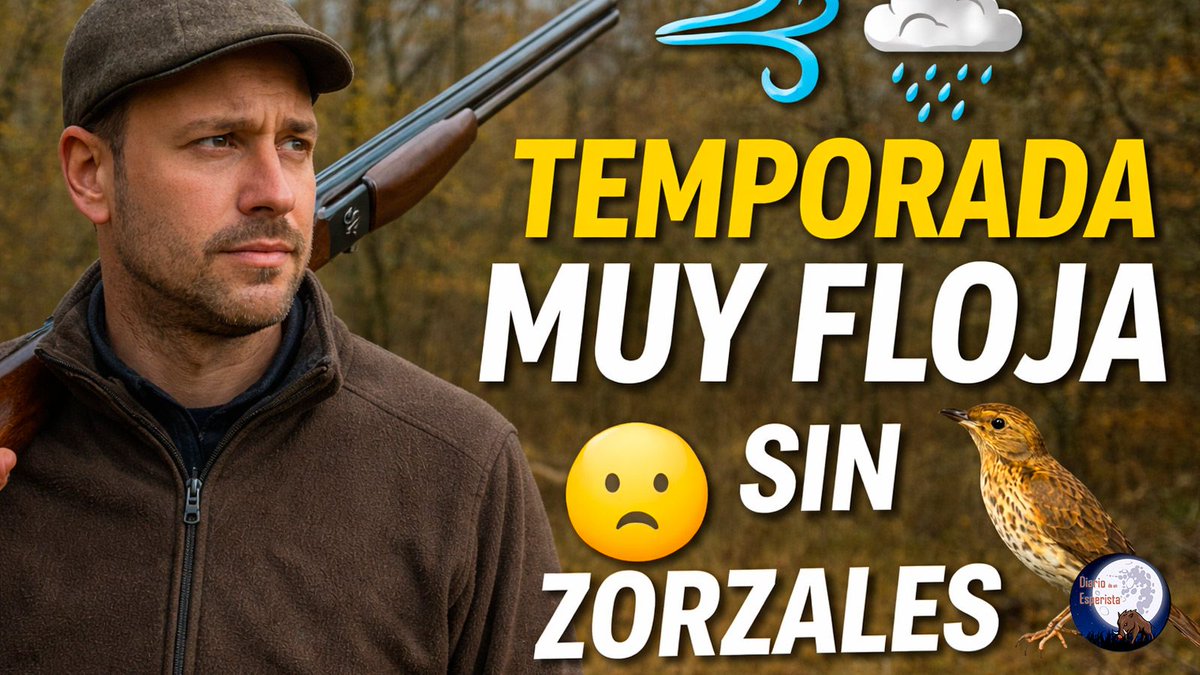NUEVO VIDEO DE CAZA MENOR DE <a href="/DiarioEsperista/">DiariodeunEsperista</a> ‼️⤵️

youtu.be/ol4cV86mtX4

#diariodeunesperista #cazadoresenyoutube #cazamenor #cazadezorzales