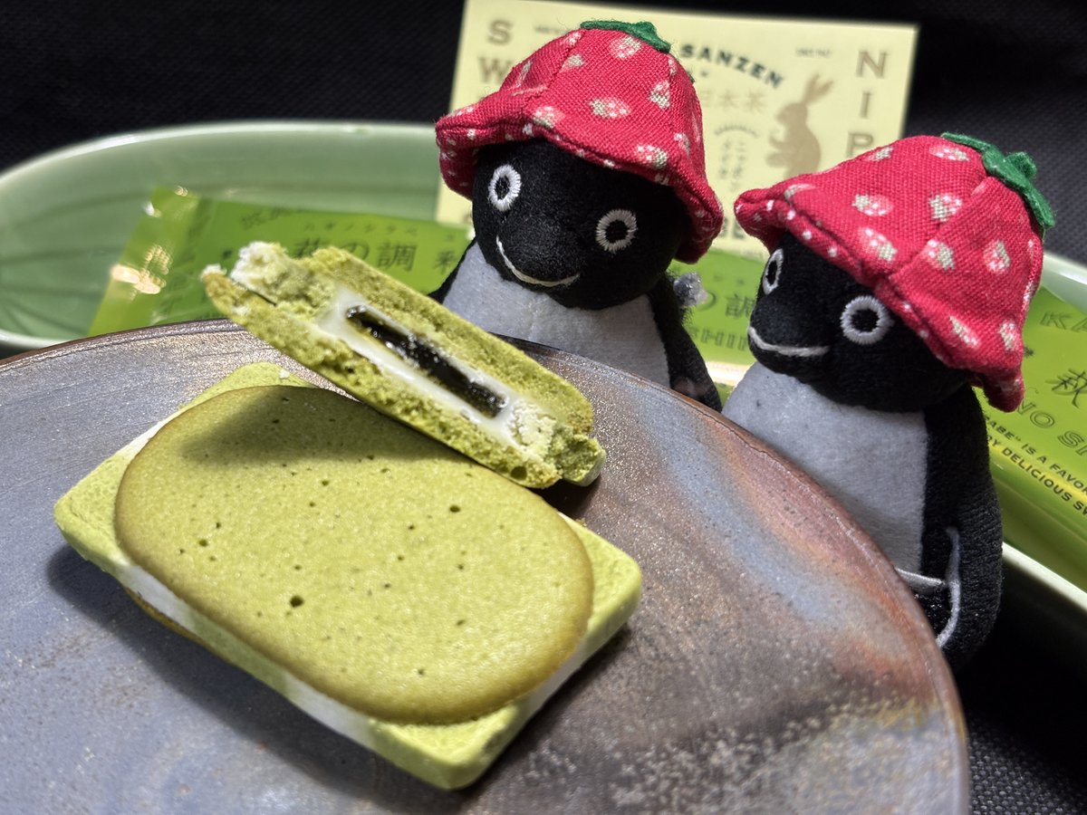 バショウカジキ tweet media