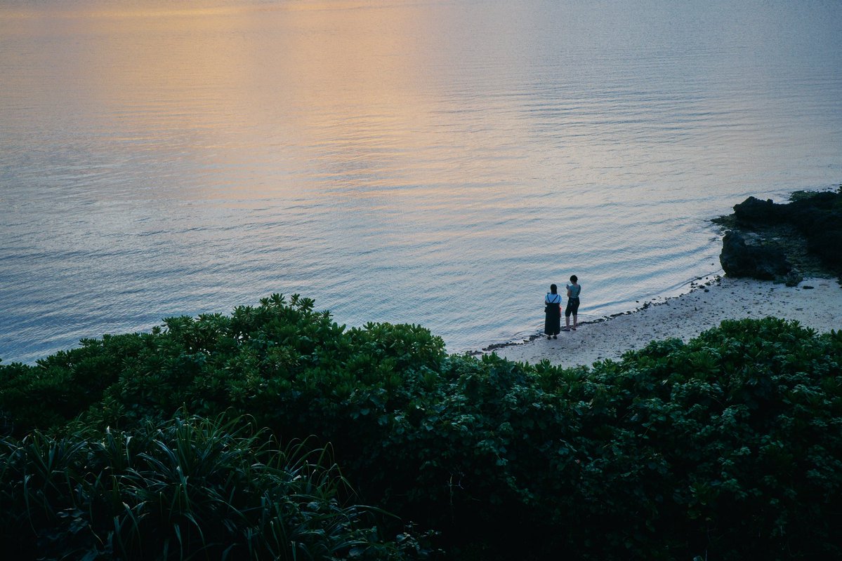 Lamp🪔 tweet media