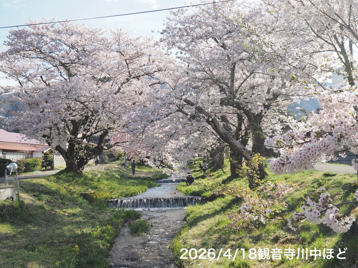 猪苗代観光協会 tweet media