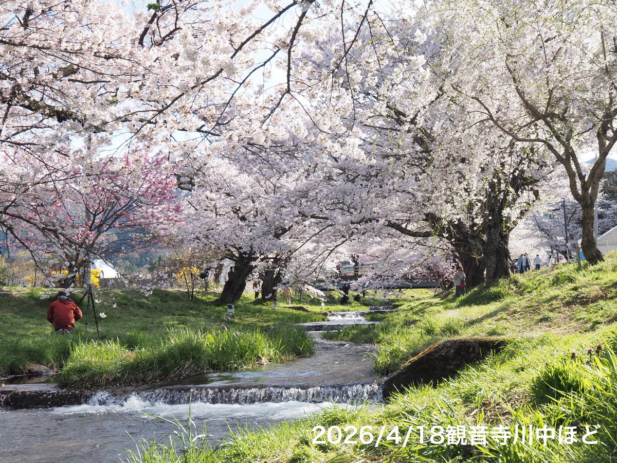 猪苗代観光協会 tweet media