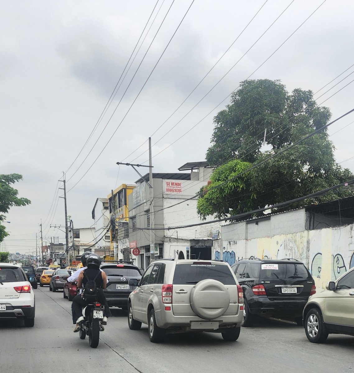 Testigo2020 tweet media