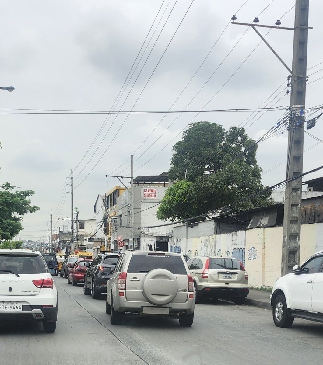 Testigo2020 tweet media