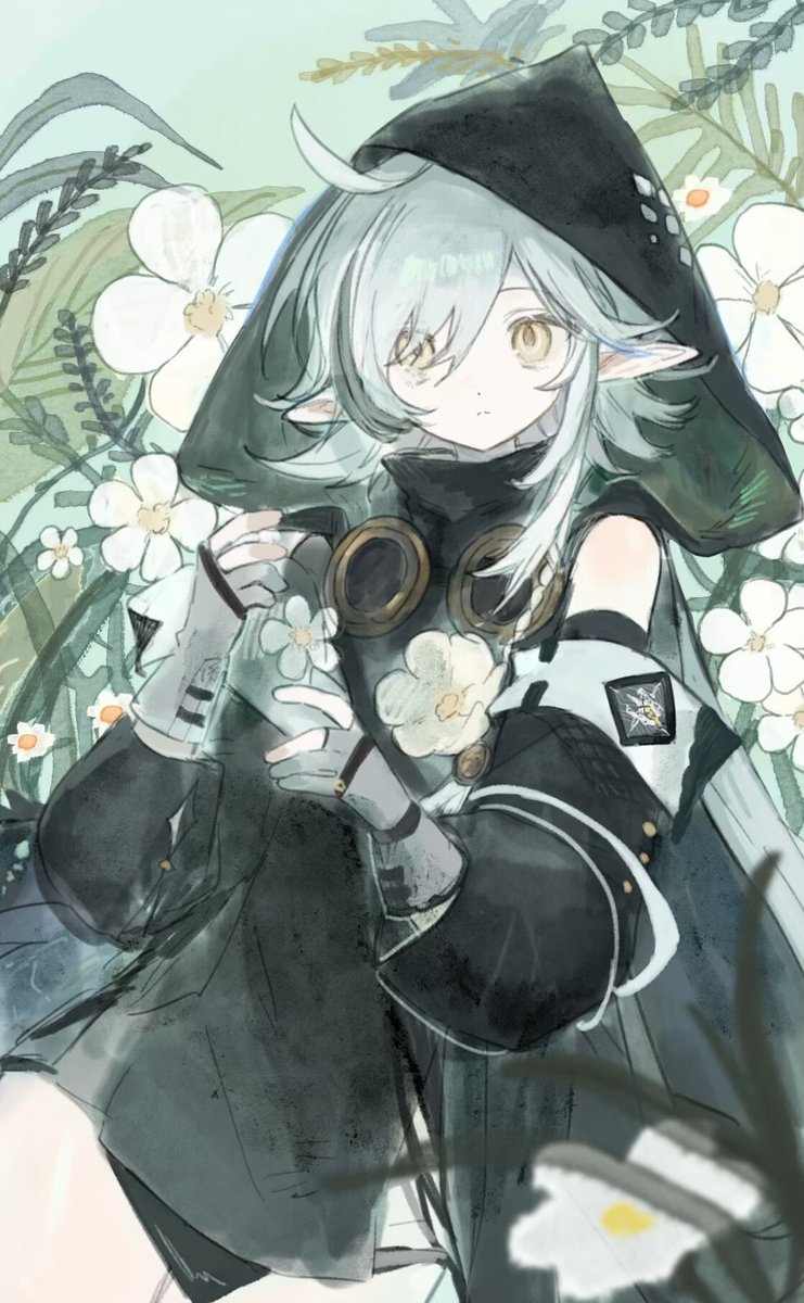 ＭakotoINU💕 tweet media