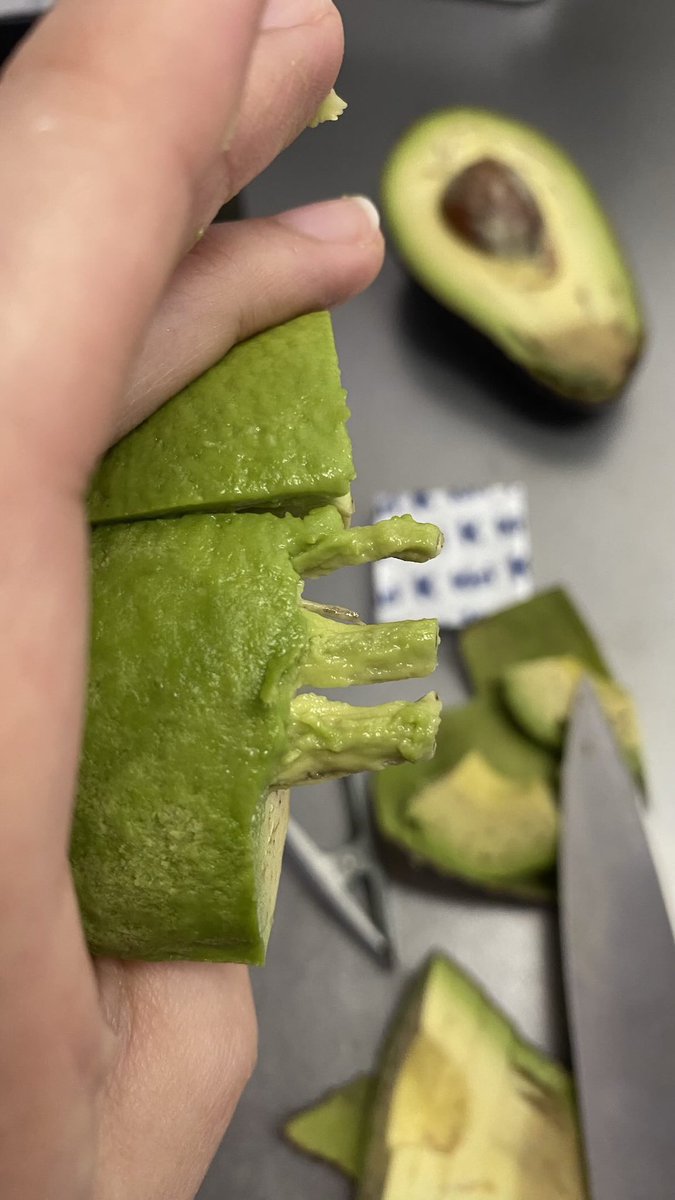 ネットで話題の動画 tweet media