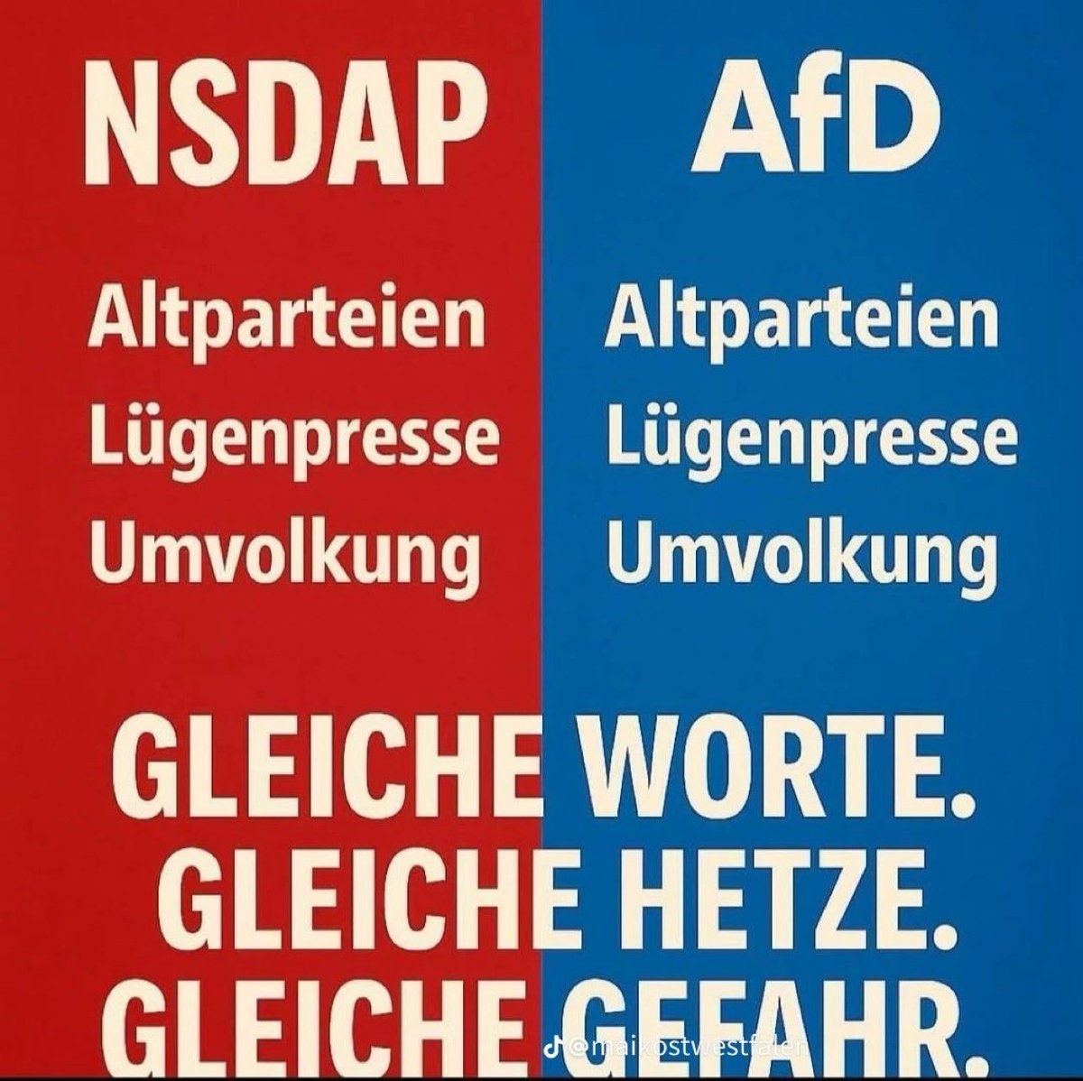 J. M. 🍉 tweet media