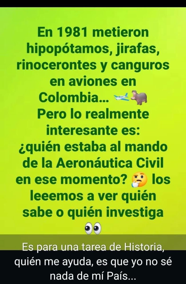 ✨ 𝒜𝓁𝑒𝒿𝒾𝓉𝒶✨ tweet media