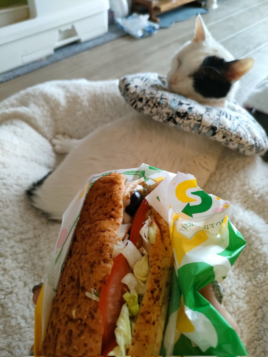 primalhome's tweet image. 今年94本目は♪
チーズサラダチキン♪
ゆうべのテイクアウトをおうちでじよんと♪
@subwayjp  #サブウェイ  #subway
