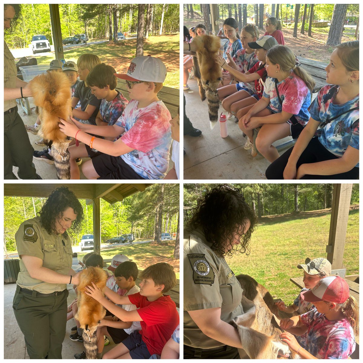 MrsBorg4th's tweet photo. We loved our field trip to Don Carter State Park! 🌲We learned all about survival skills, mammals in the park, and how to use a compass! @MVESGainesville https://t.co/JLTZsBrIIA