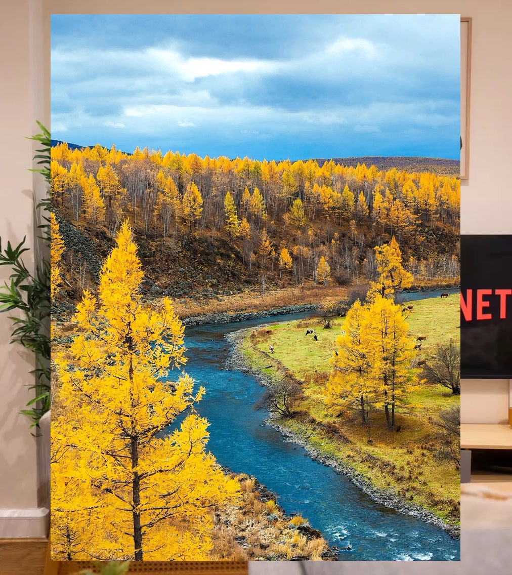 Matthew Collard tweet media