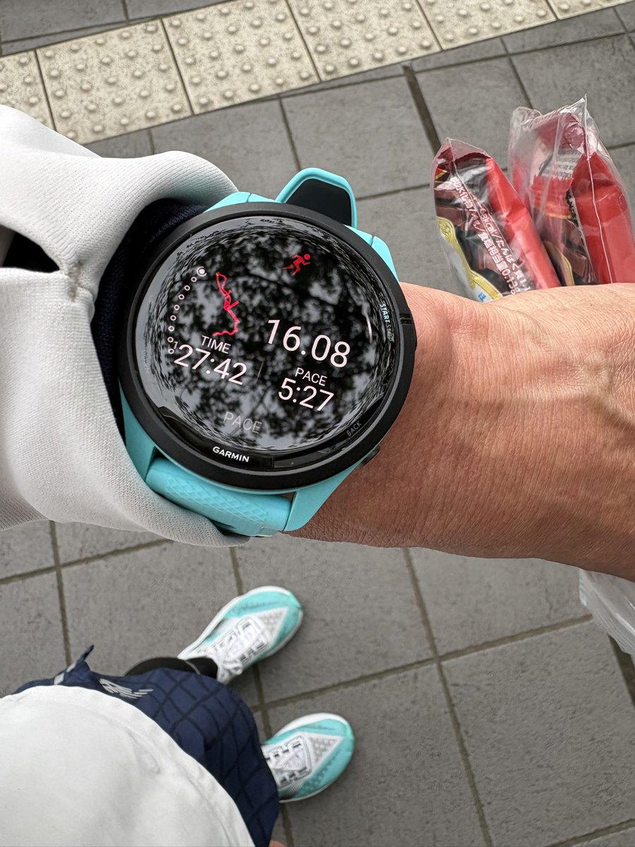 Hana/ ケープタウン tweet media