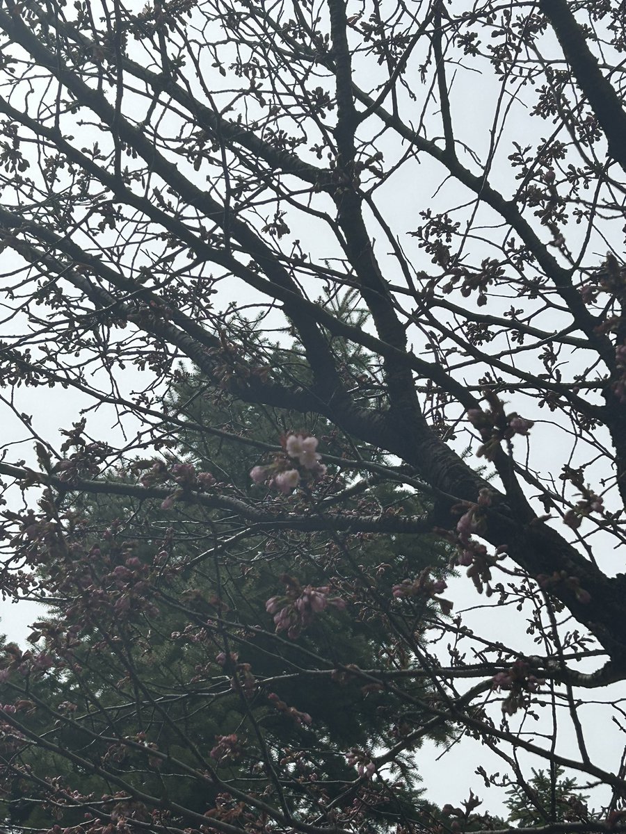 マチルダ tweet media