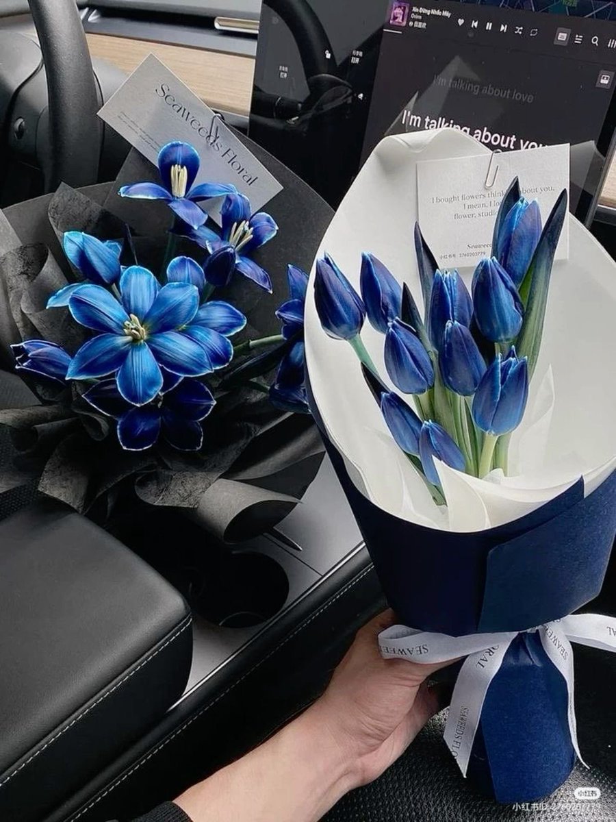 𝑒𝑙𝑦𝑟𝑎 tweet media