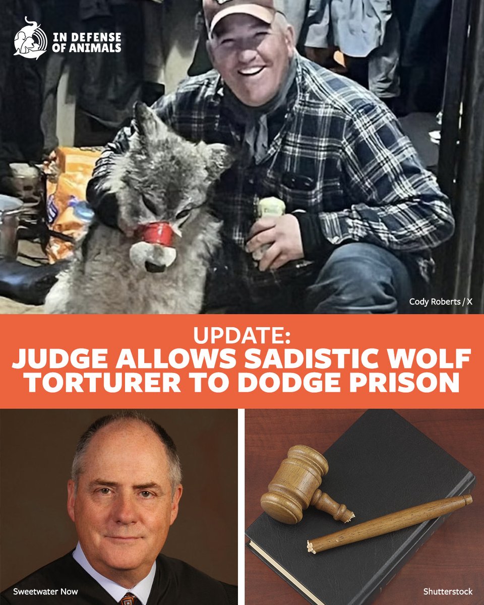 In Defense Of Animals tweet media