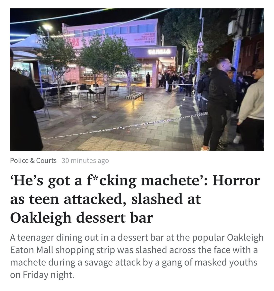 Havee S Chu Chu tweet media