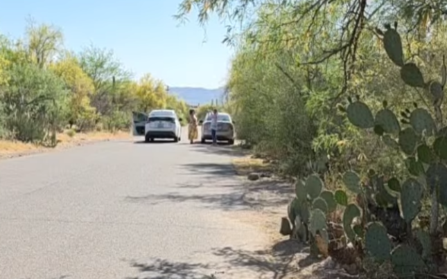 Where is Nancy Guthrie? tweet media