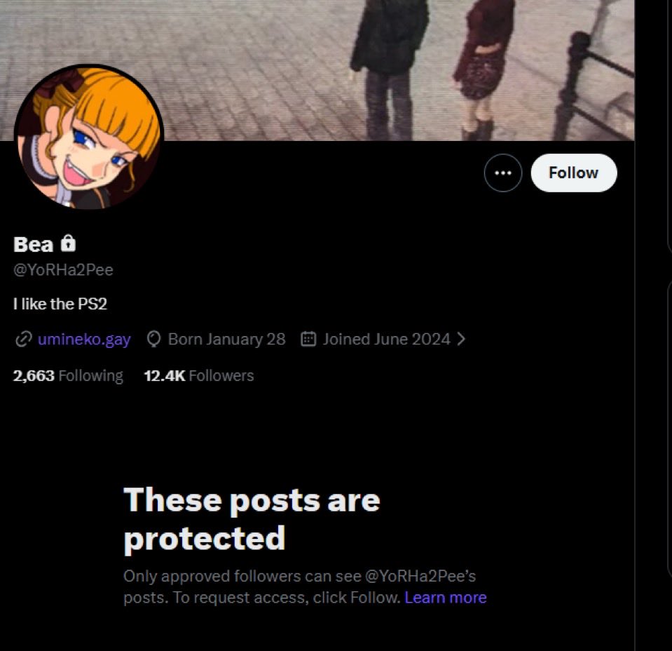 optical🔎 tweet media