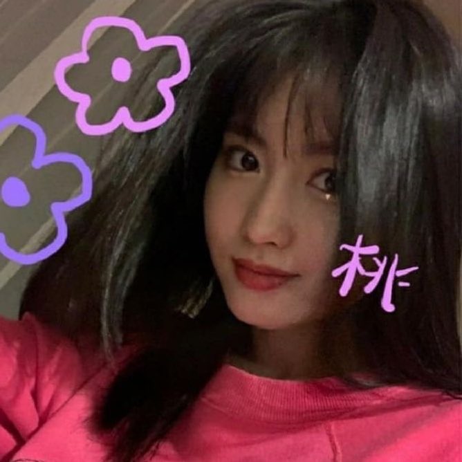 Momo tweet media