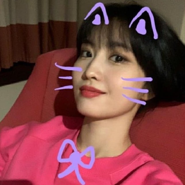 Momo tweet media