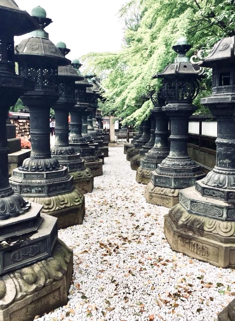 Jorge Luis Castro tweet media