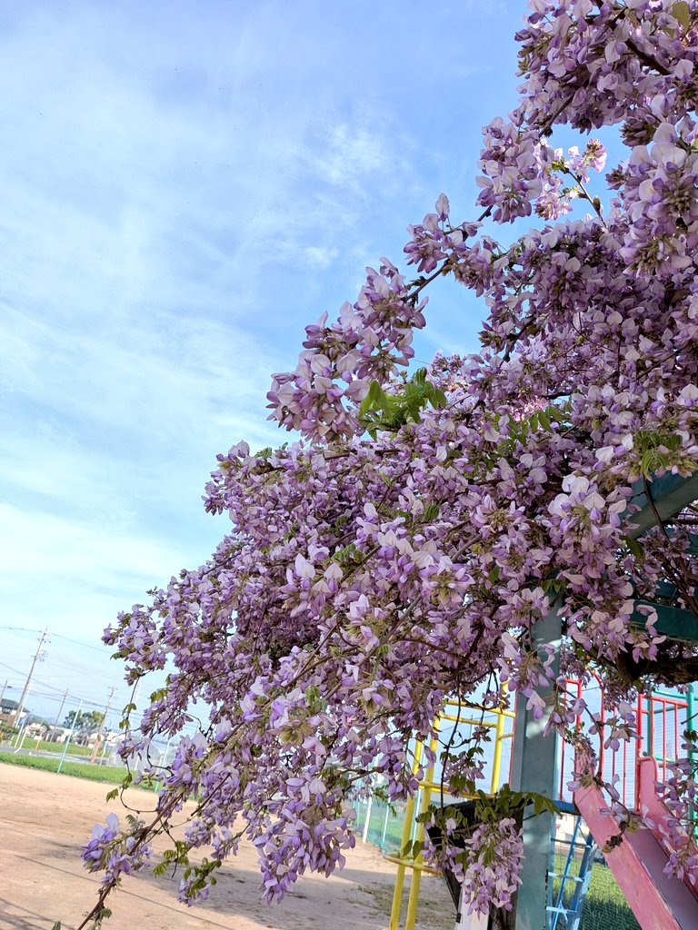 るなれお日和響@ママ tweet media