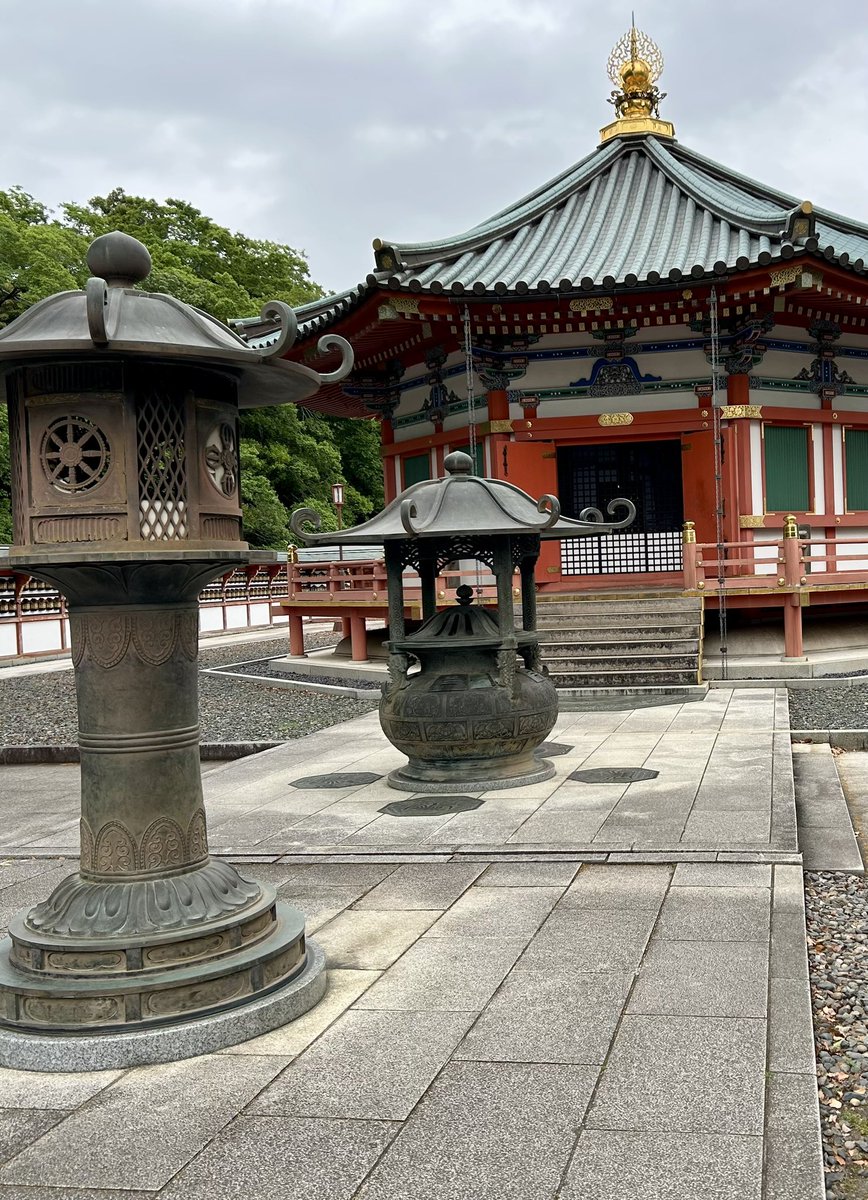 おはようございます🐉