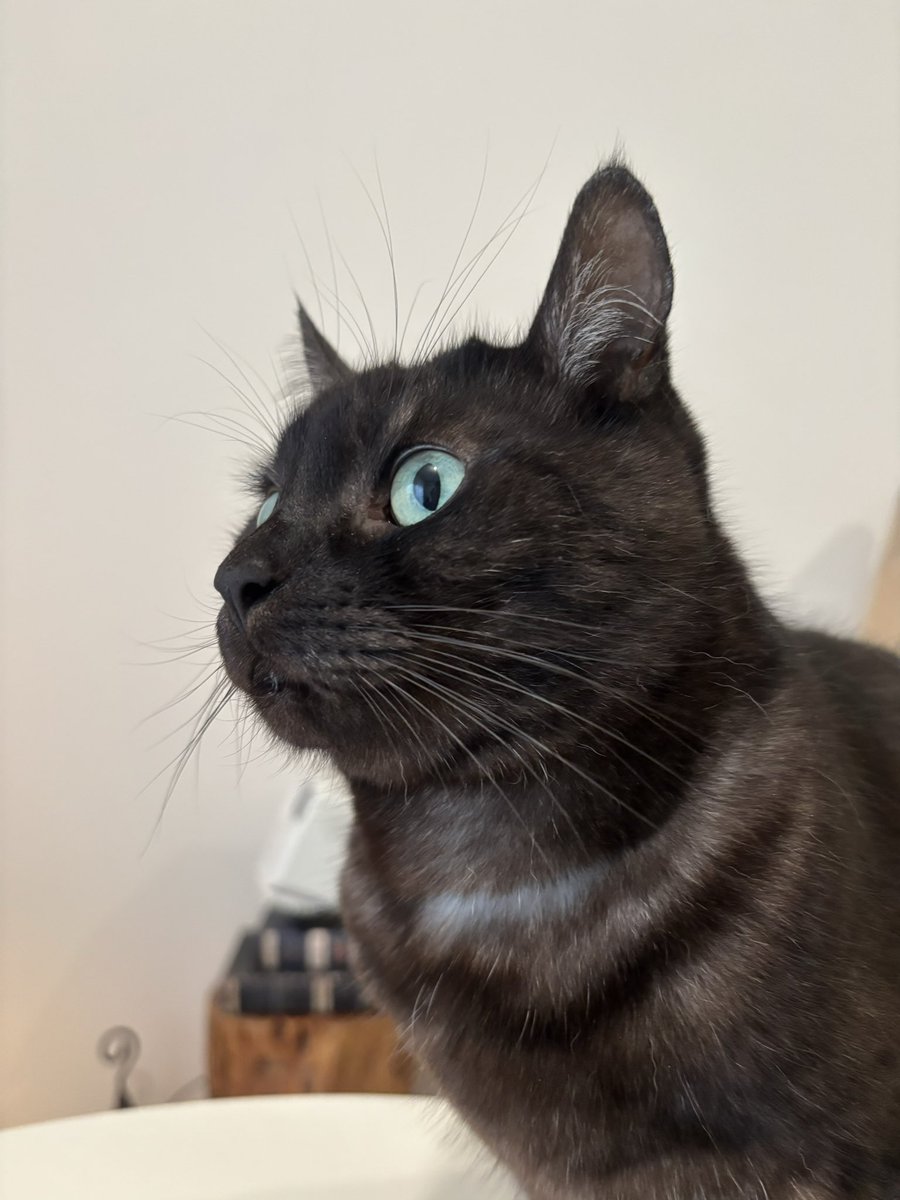 ジルロデ tweet media