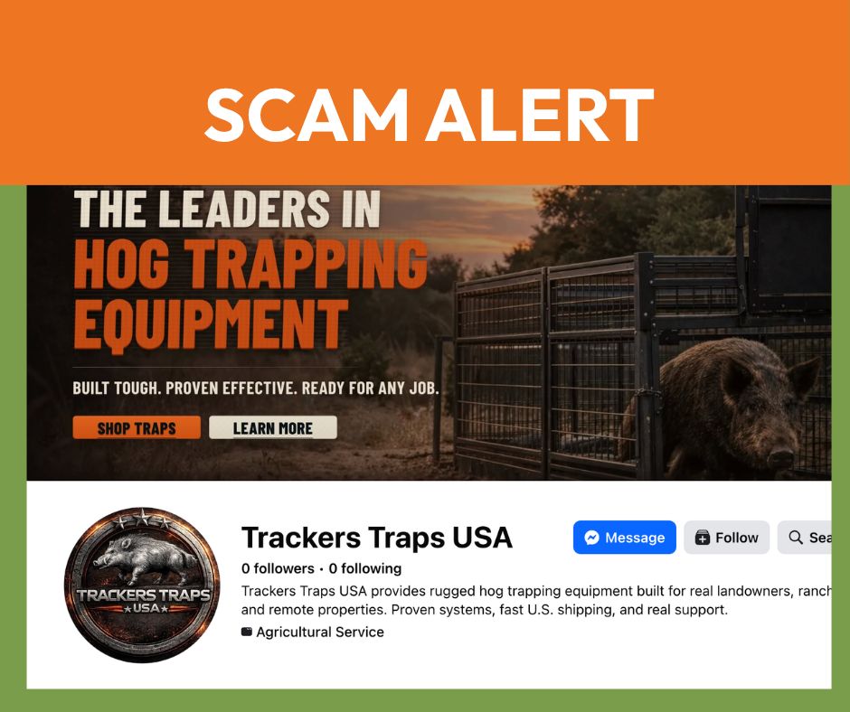 Pig Brig tweet media