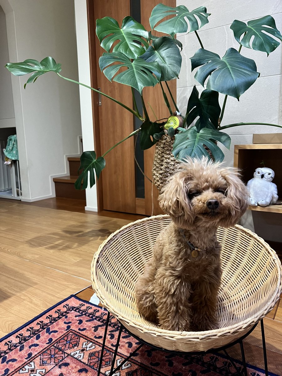 ～*＊masumi＊*～ tweet media