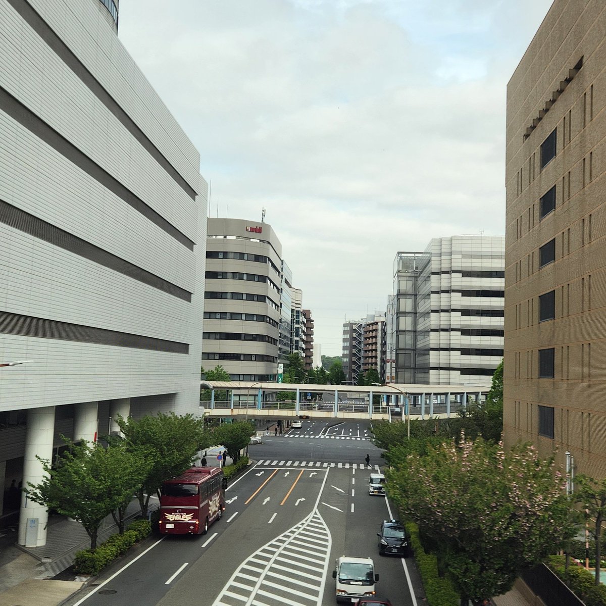 みゅう🌃 tweet media