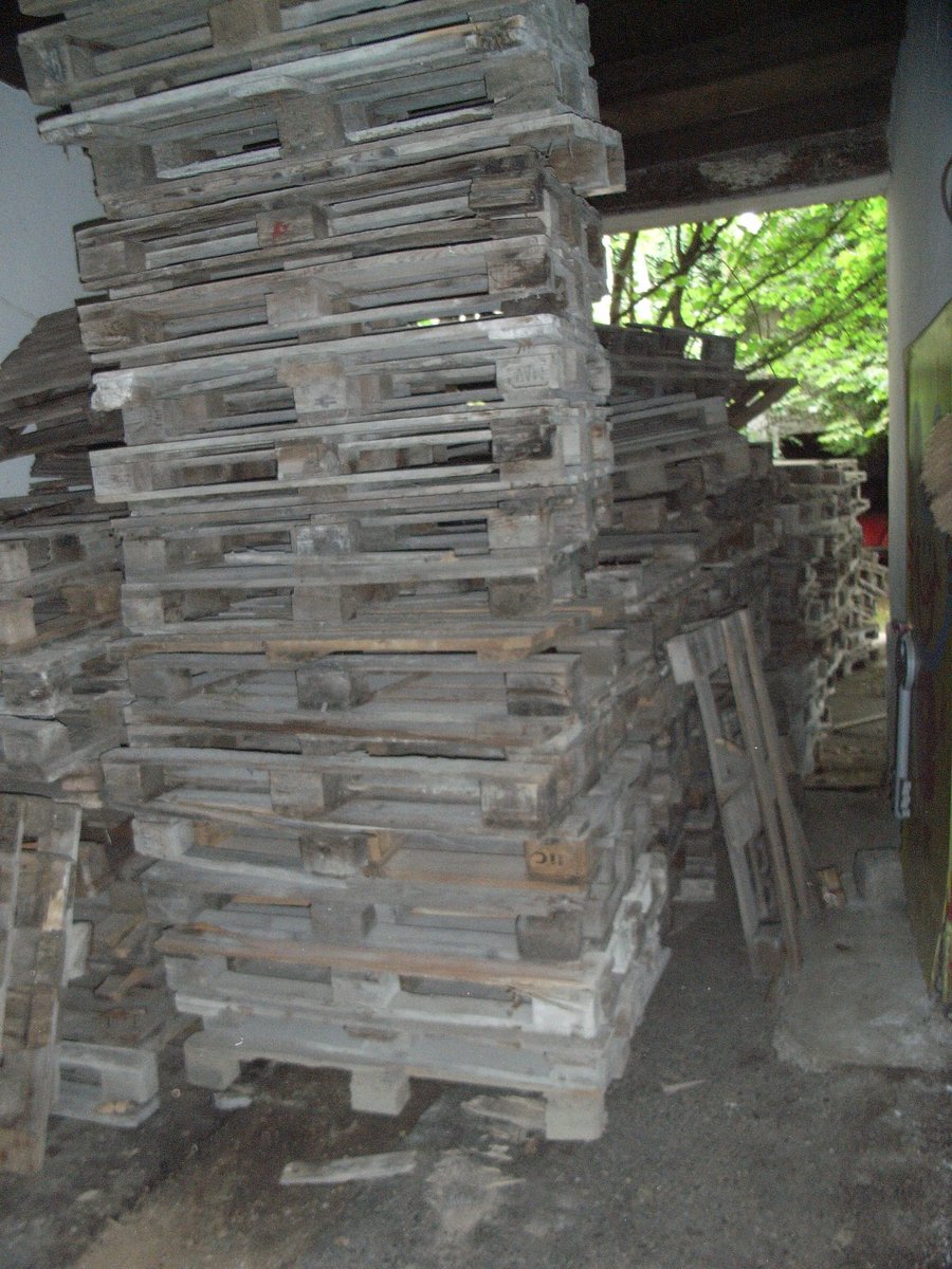 Michael Bübl tweet media