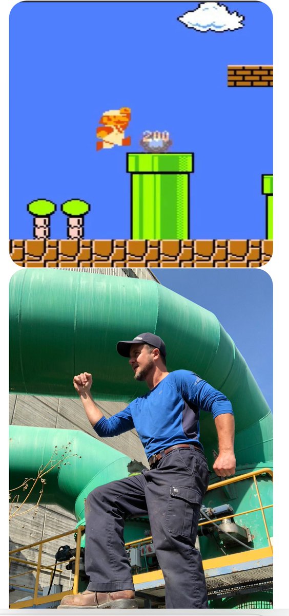 charles wolfe tweet media