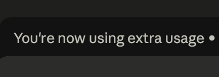 Platypus ☀️ tweet media