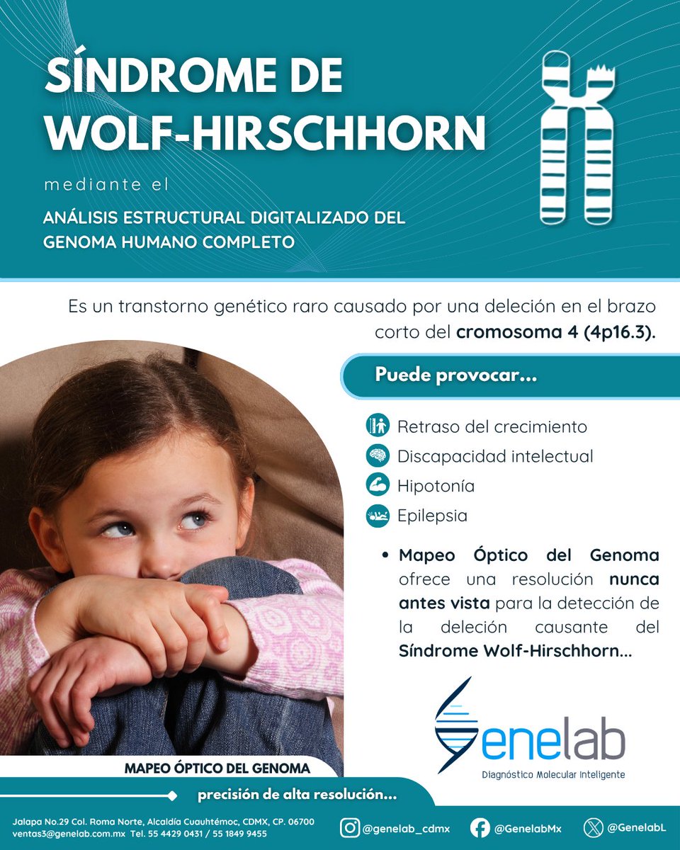 GenelabL's tweet image. Gracias al Mapeo Óptico del Genoma, hoy es posible detectar alteraciones estructurales con una resolución sin precedentes, aportando información clave para la detección del Síndrome de Wolf-Hirschhorn. 🧬

📞 Contáctanos: 55 1849 9455

#Genética #MapeoÓptico #Genelab