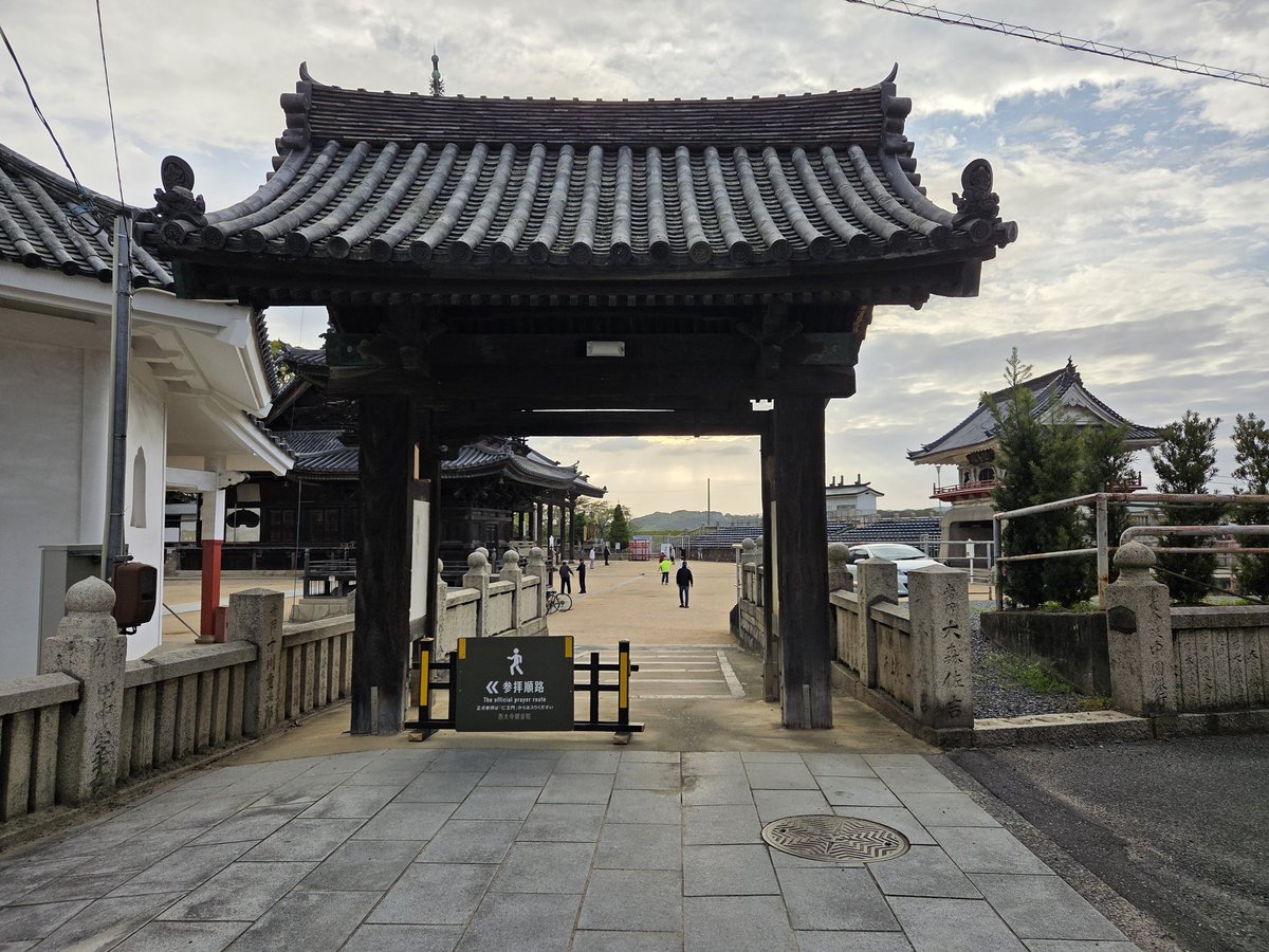 はらちゃん tweet media