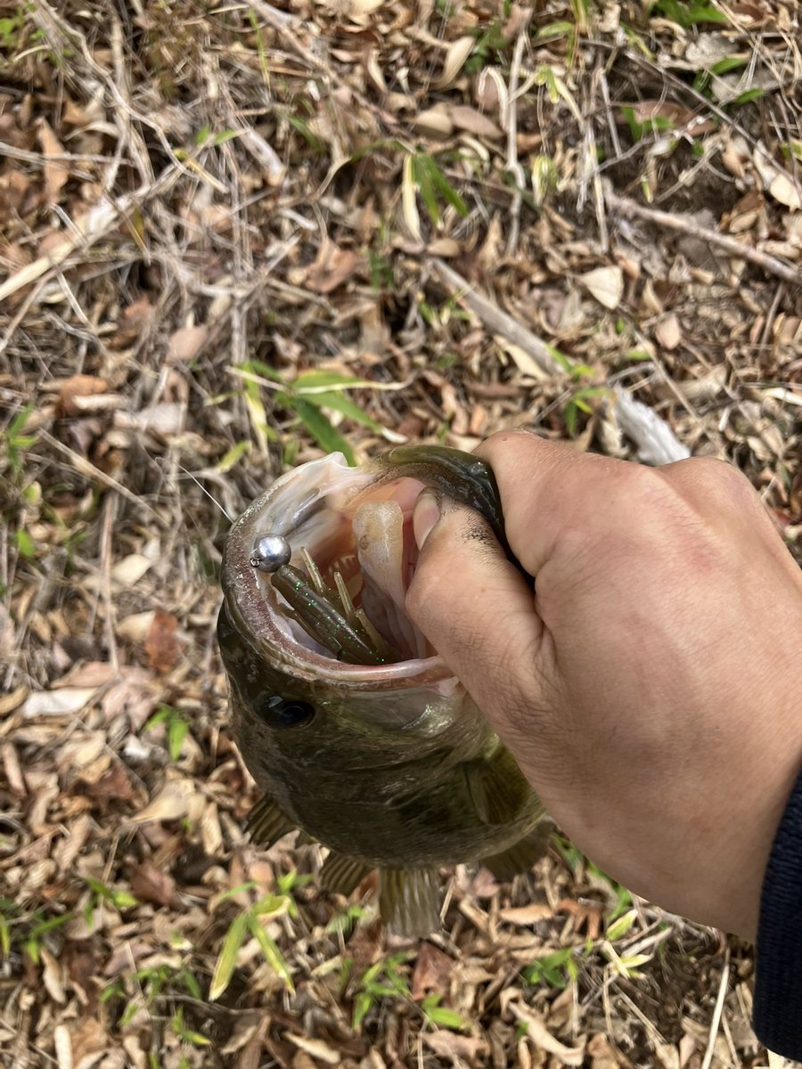 てった tweet media