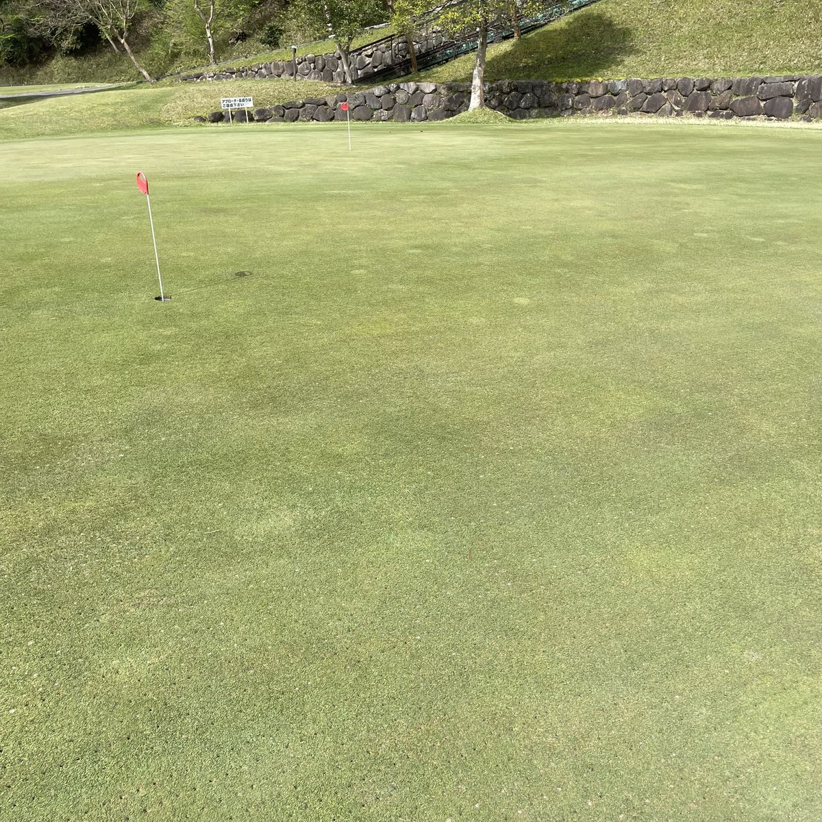 れんじ⛳️一陽来復 tweet media