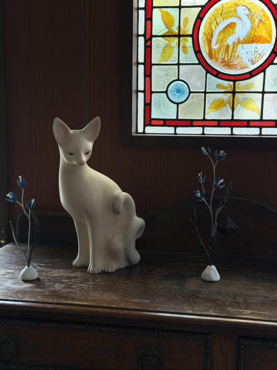 𓃴 土屋仁応 / Yoshimasa Tsuchiya tweet media