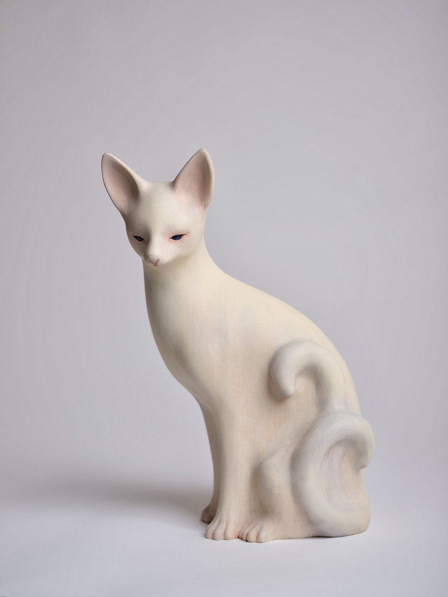 𓃴 土屋仁応 / Yoshimasa Tsuchiya tweet media