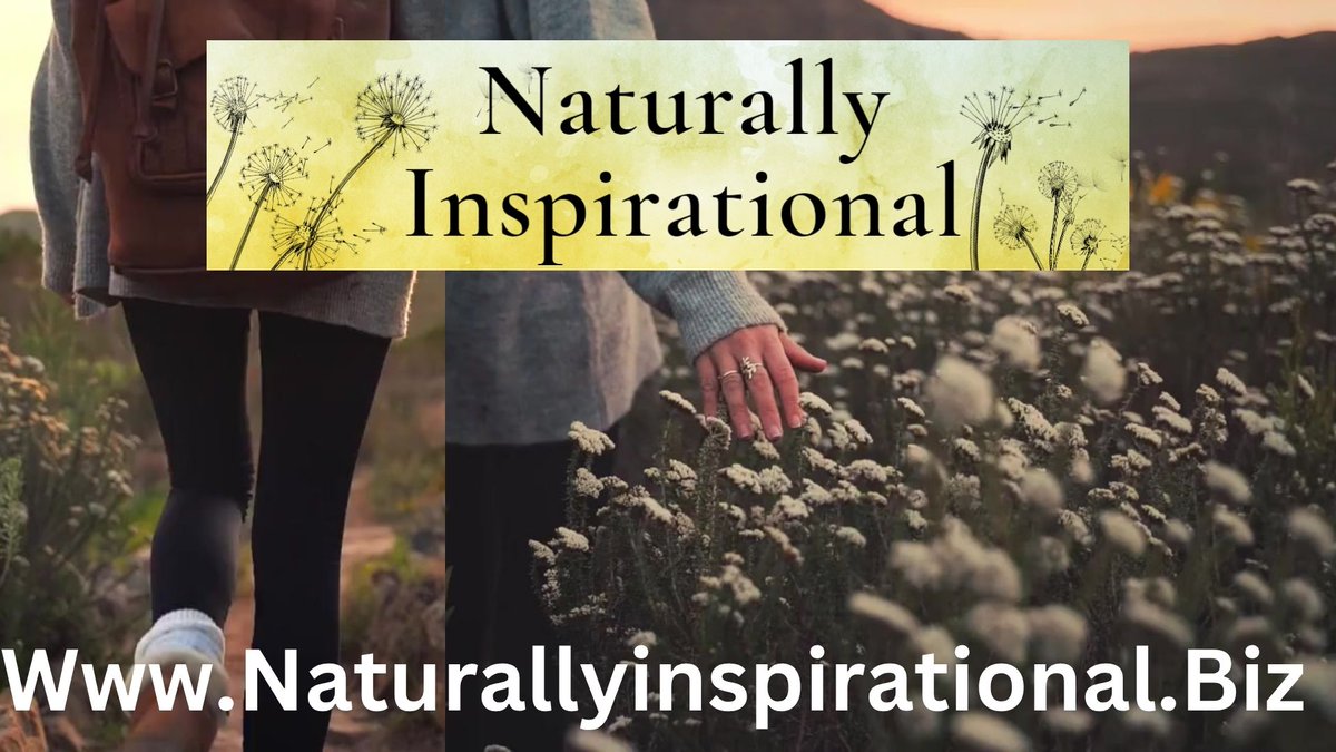 WhitmanSar81704's tweet image. STOP LETTING PAIN END ADVENTURE. Our Salves guarantee the comfort needed for exploration (pictured). Demand your freedom. Claim your FREE Salve (ships FREE) now: naturallyinspirational.biz/products/salve… Also on Amazon! #ActiveLife #PainFree