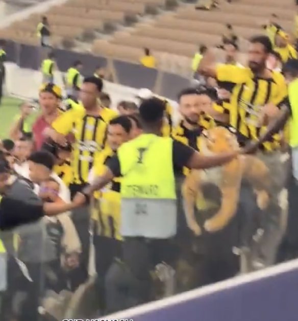 SA!F 🥈. tweet media